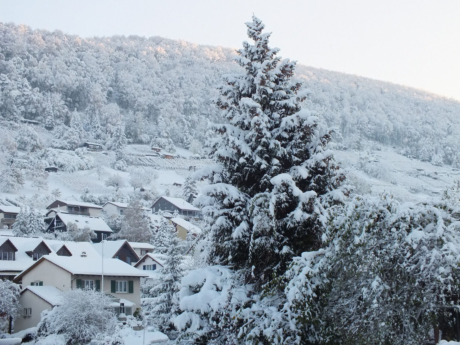 Sekundarschule im Wintermantel